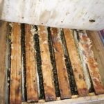 Два ключевых фактора которые нельзя игнорировать
